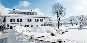 Alpenhotel Speckbacher Hof 3*