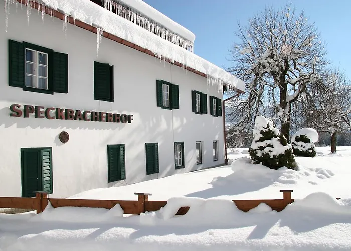 Hotel Alpenhotel Speckbacher Hof 3*