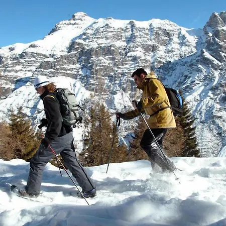 Alpenhotel Speckbacher Hof Hotel