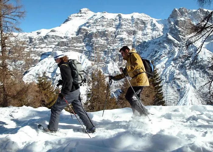 アルペンホテル シュペックバッハー ホフ ホテル